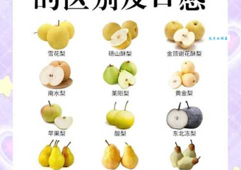 梨的功效与作用是什么 梨子能帮助消化降火吗