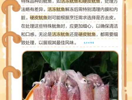 鱿鱼怎么处理最省事 懒人必备的鱿鱼快速清理法
