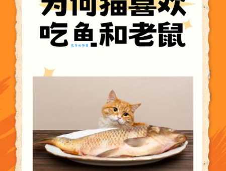 猫为什么喜欢吃鱼 原来和它们的祖先有关