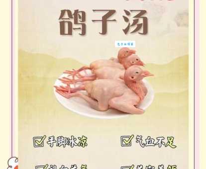 鸽子肉的营养价值解析 为什么说它是滋补佳品
