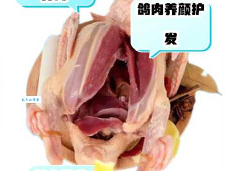 鸽子肉的营养价值解析 为什么说它是滋补佳品