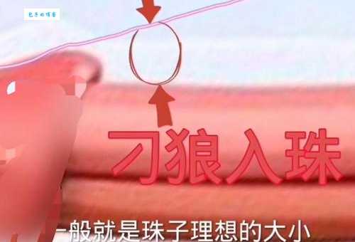 入珠是什么意思 专家为你详细解释这一概念