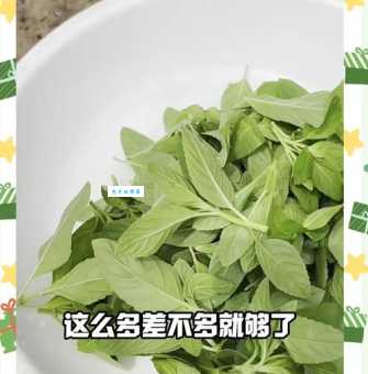 薄荷叶怎么吃不上火 这些搭配方法要记住