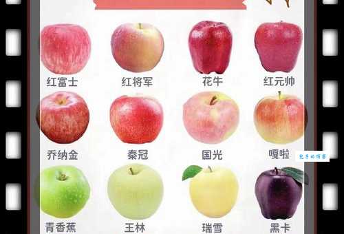 苹果属于哪类水果 带你认识蔷薇科水果家族