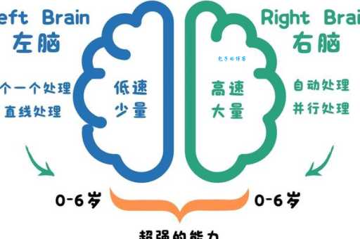 左脑思维和右脑思维有什么区别 教你快速区分两者