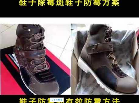 皮鞋发霉怎么处理 家庭常用物品轻松搞定霉变问题