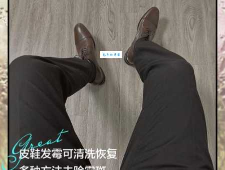皮鞋发霉怎么处理 家庭常用物品轻松搞定霉变问题