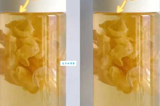百合怎么做好吃 清炒炖汤都美味的秘诀在这里