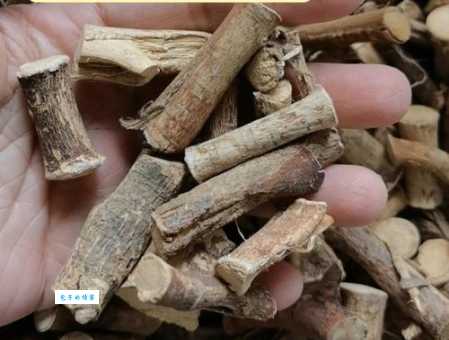 五指毛桃的功效与作用详解 这种水果竟能调理肠胃