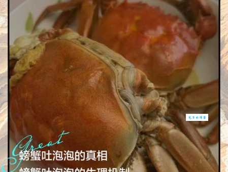 螃蟹为什么吐泡泡带你了解螃蟹的生存秘密