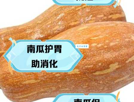 南瓜的作用与功效解析南瓜的养生价值不可小觑