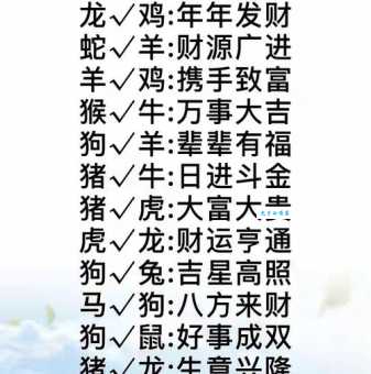 大摇大摆是指什么生肖，答案解释落实
