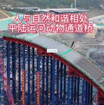 修桥五七九尾中，二头三头剩小围指的是什么生肖动物，最新解答落实