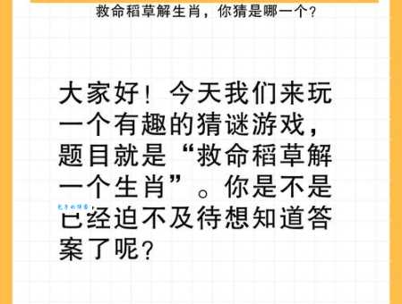四海一家打一生肖猜谜答案大公开