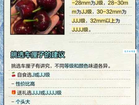 车厘子j等级详解 几个j代表什么意思