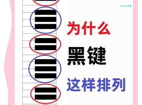 钢琴黑白键宽度有讲究新手必看指南