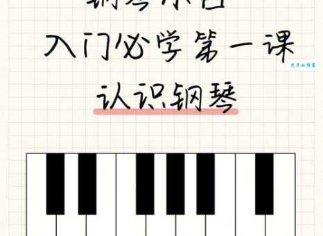钢琴黑白键宽度有讲究新手必看指南