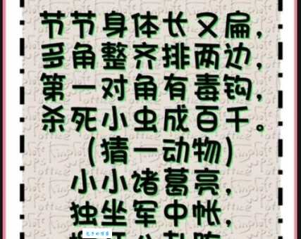 笑里藏刀打一动物谜底揭晓原来这么简单