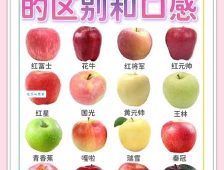 RedApple红苹果品牌国籍解析它究竟产自哪里