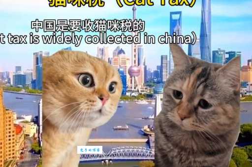 想知道猫扑MOP是哪个国家的品牌看这篇就够了