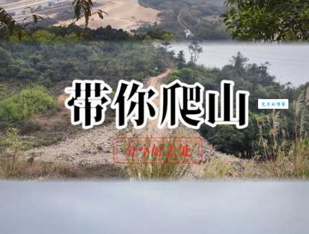 带你去爬山什么意思这个梗到底怎么来的